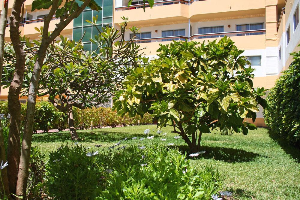 Apartamentos Las Camelias Playa del Inglés Buitenkant foto